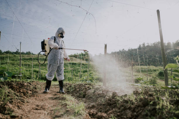 Best Ant Control Services  in Ridgely, MD