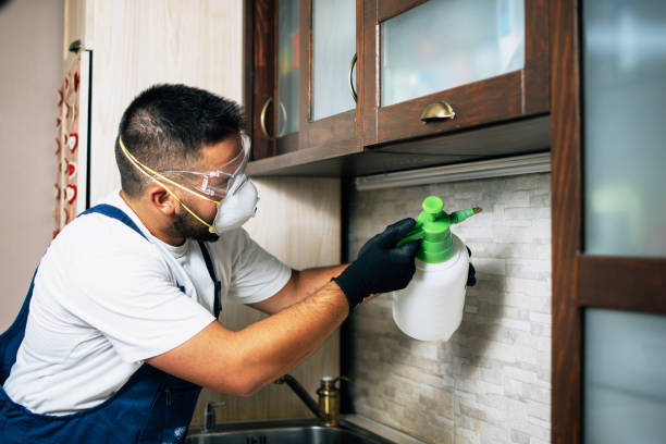 Best Rat Extermination Near Me  in Ridgely, MD