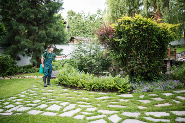 Wasp Removal Services in Ridgely, MD