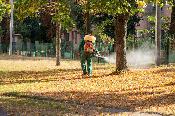 Best Residential Pest Control  in Ridgely, MD