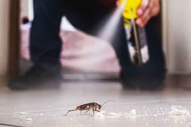 Best Best Pest Control Companies  in Ridgely, MD