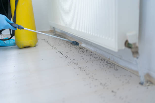 Best Pest Control Cost  in Ridgely, MD